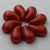 ZoliduoDuo - Bal - 5 x 8 mm - Lava Red - 2 lyukú